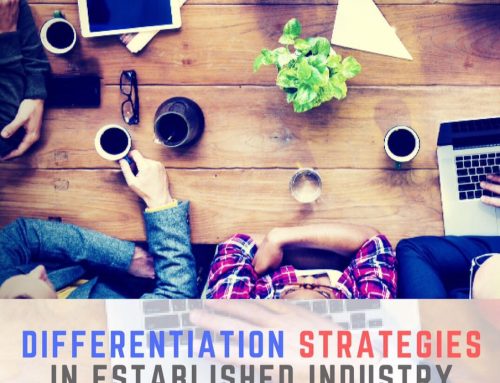 Differentiation strategies in established industry